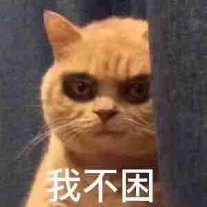 菠萝爱吃凤梨