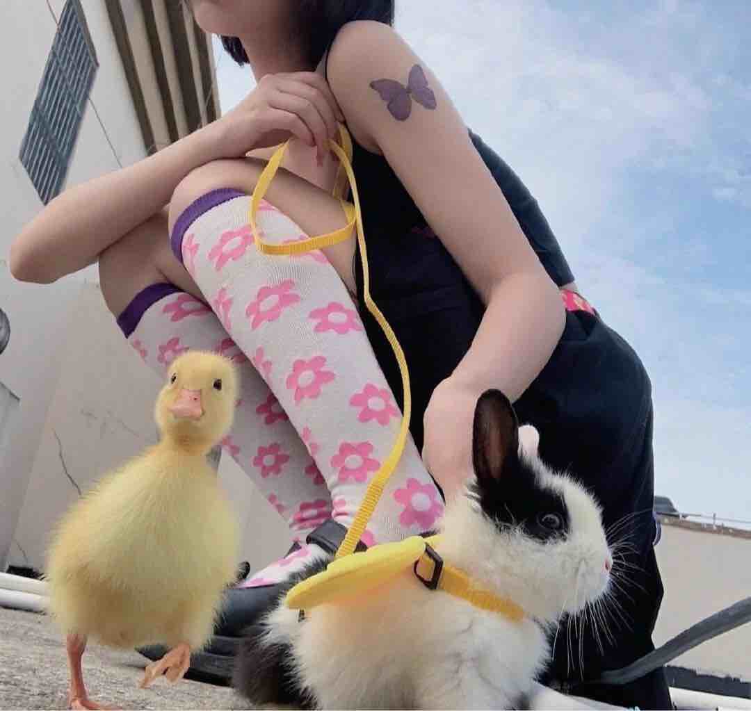 犹豫只能败北