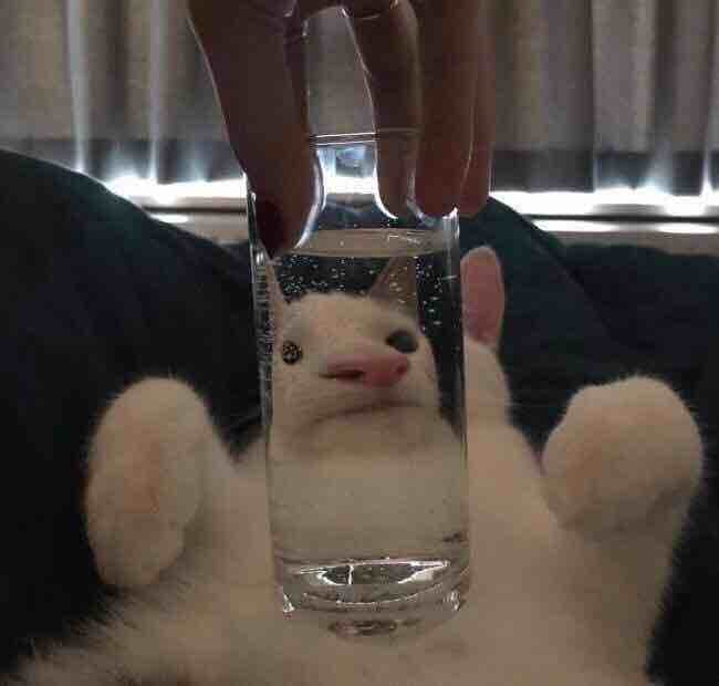 您又白给了