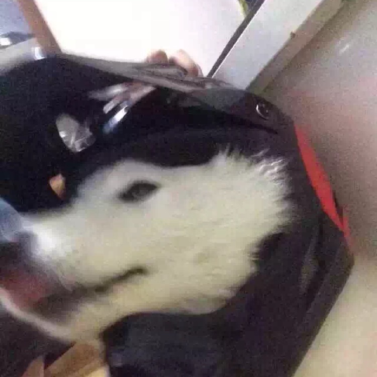 各种饰品没中间商