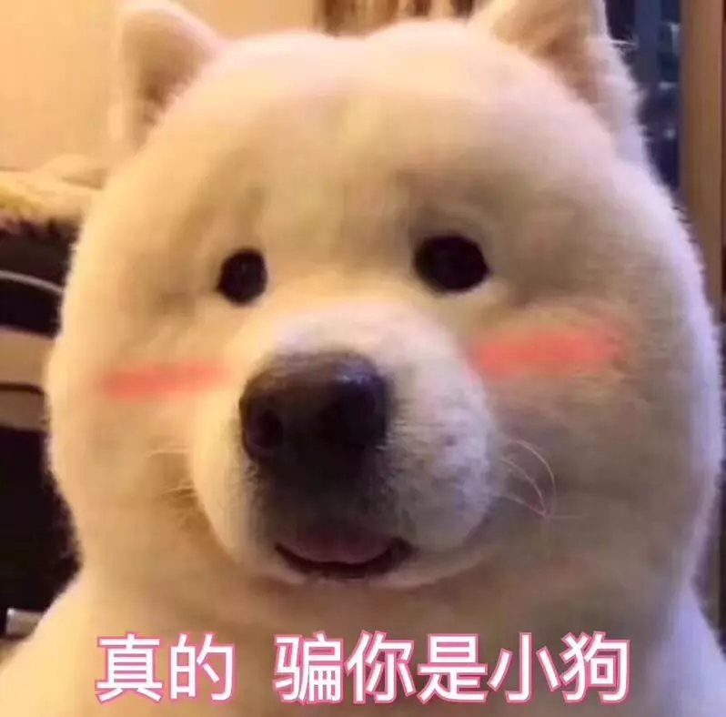 玩家825595d4c263