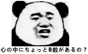 装b