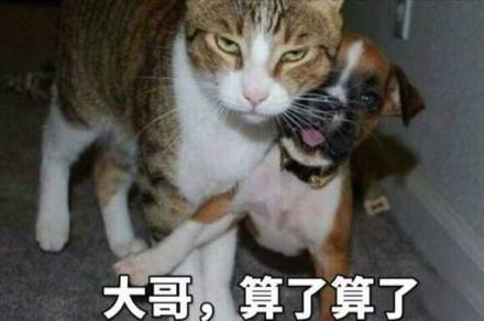 抄家伙