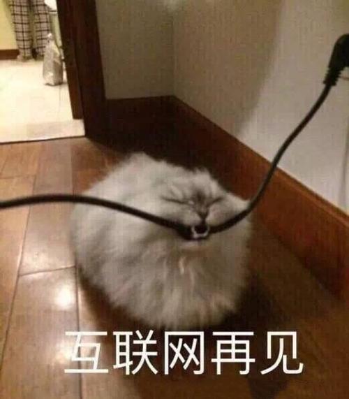 互联网再见