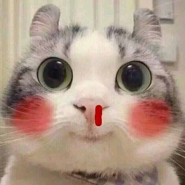 402