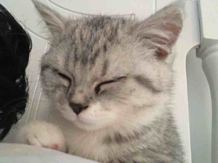 Precious
