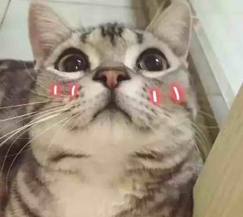 全校人的希望