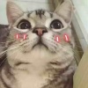 全校人的希望