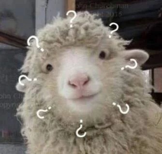 求求你了
