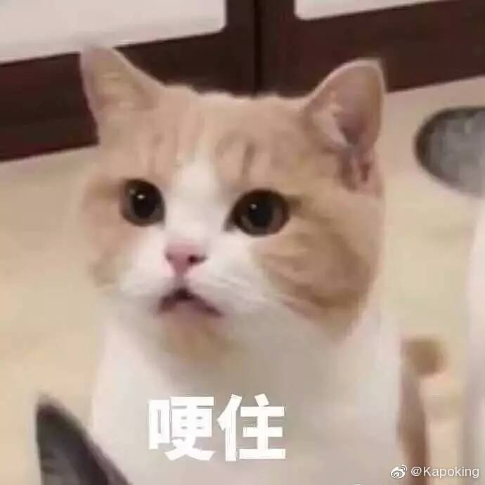 玩家a6a3f7523466