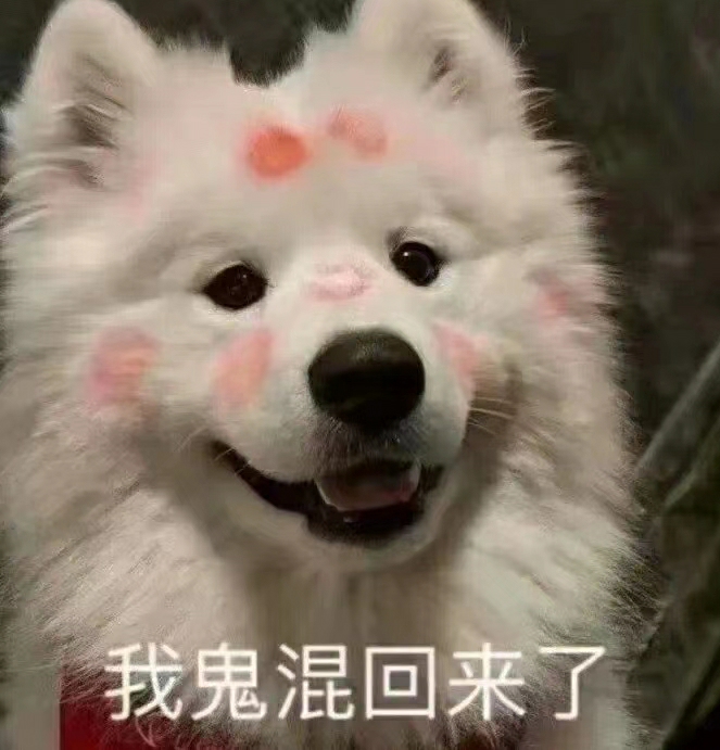 玩家833477292453416960