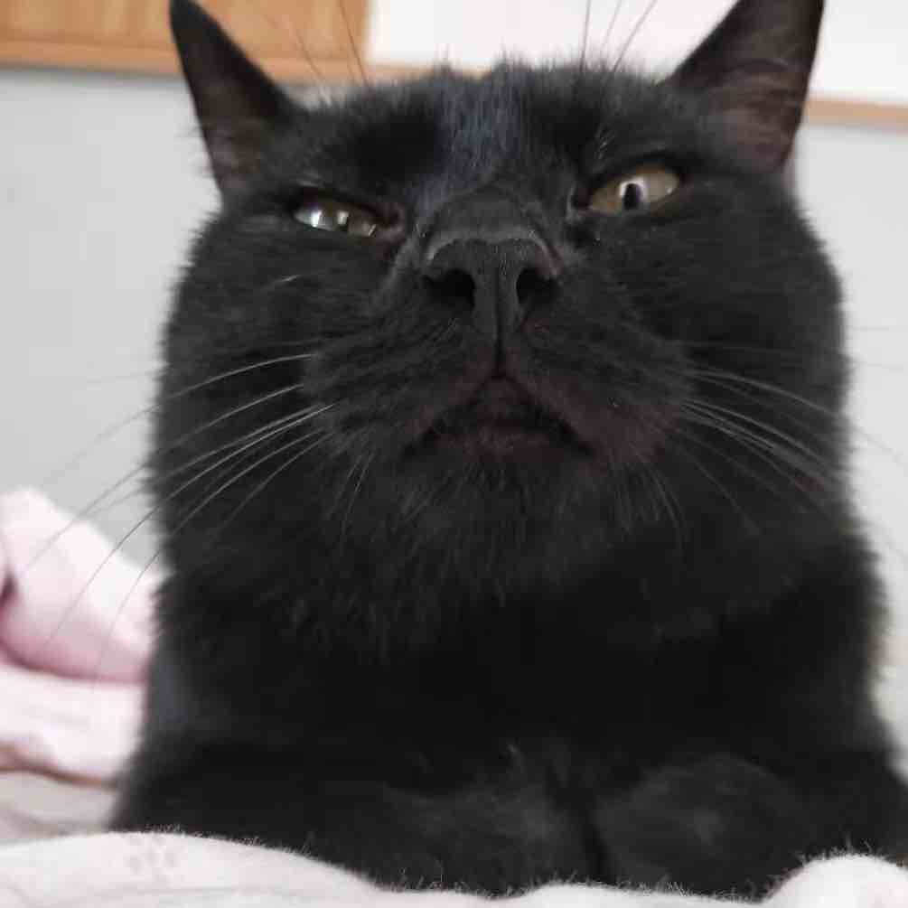 优惠价格便宜了便宜了