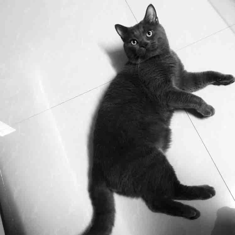 玩家849802505902247936