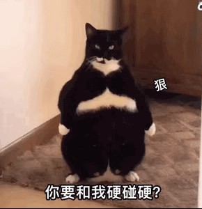 夺卡给我中