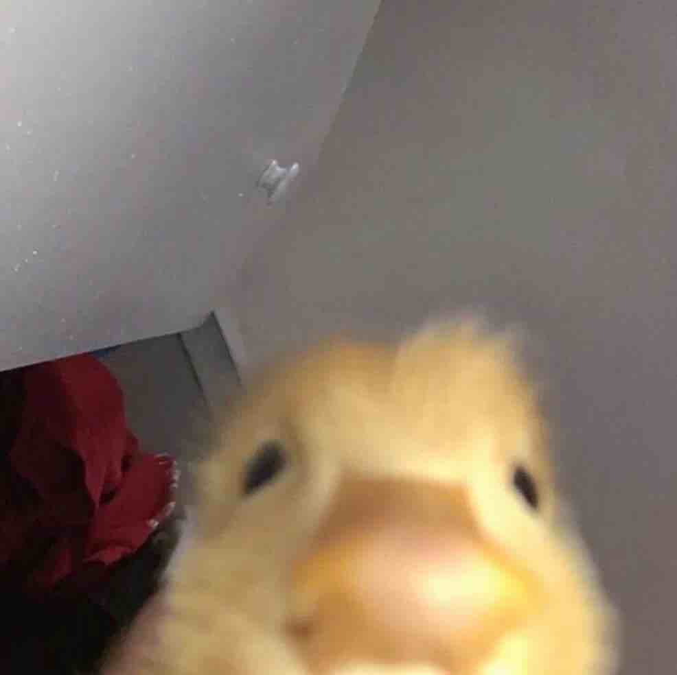 玩家967349133079703552