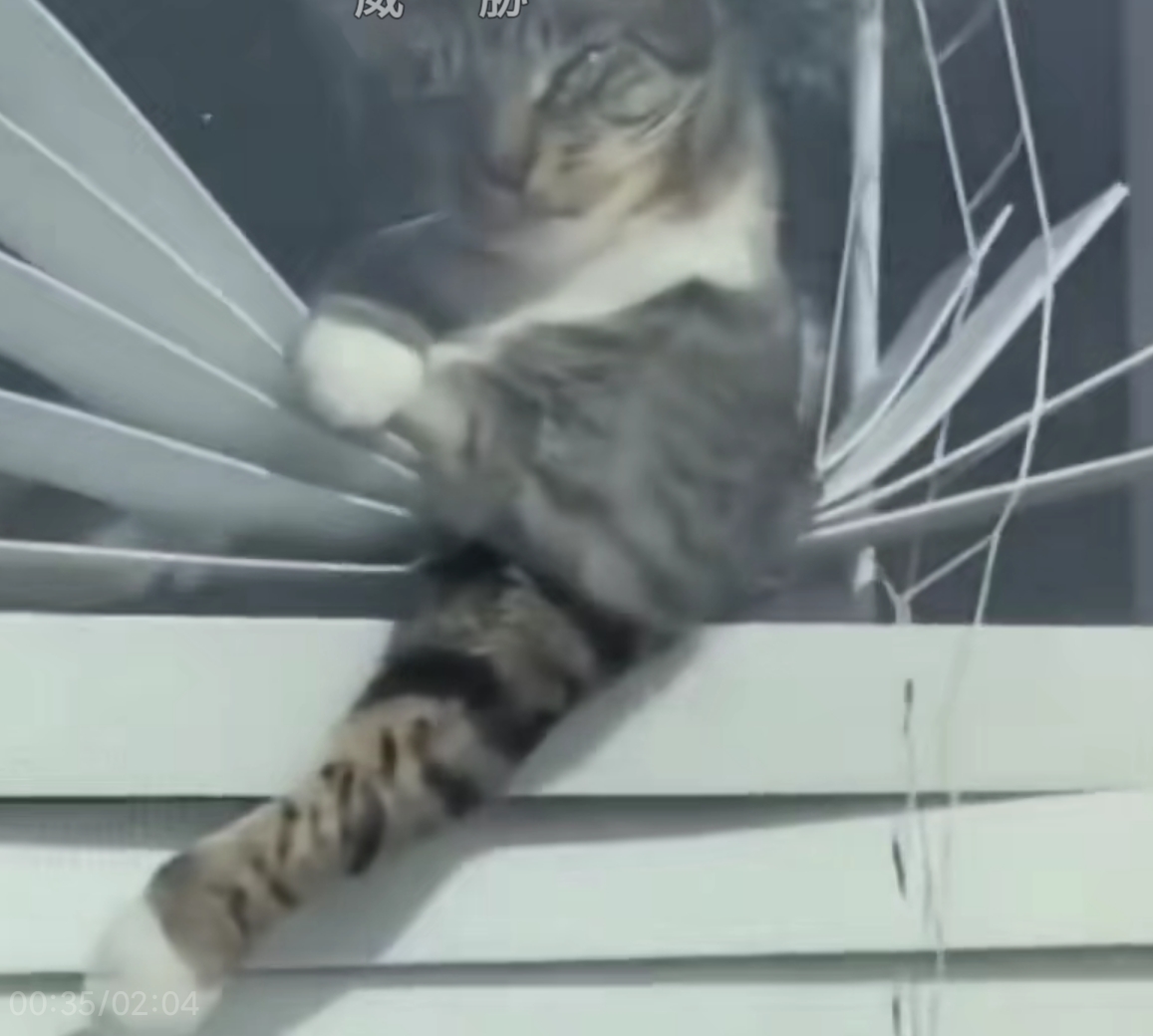 怕不是有点大冰