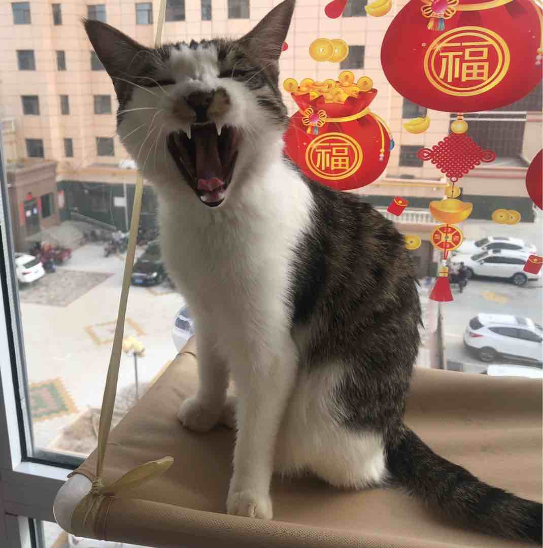 玩家852351373999230976