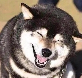 棠梨花落