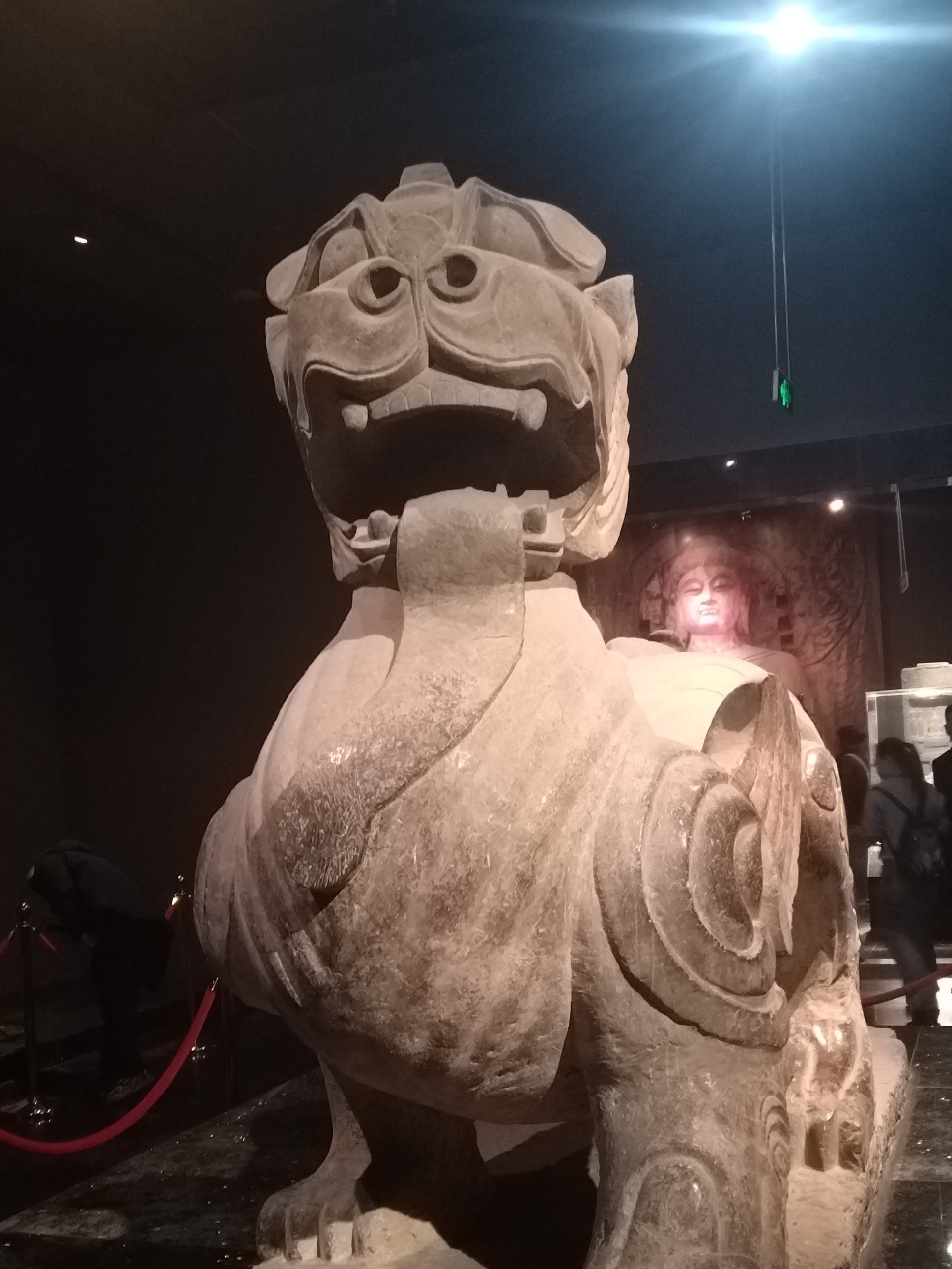 锦鲤好运来