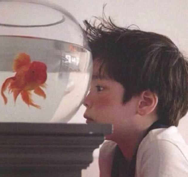 老K是老大
