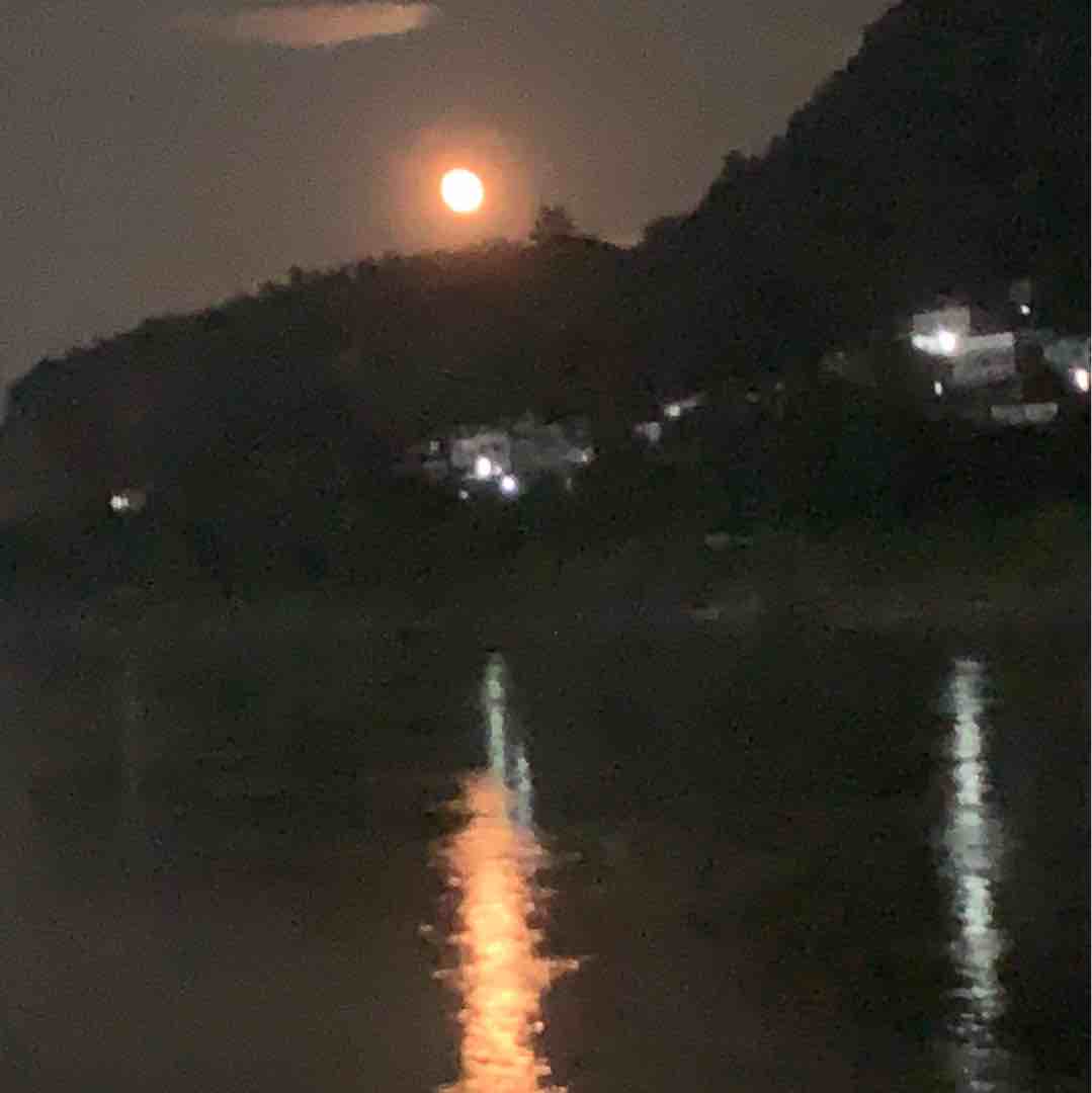 丢我秒到