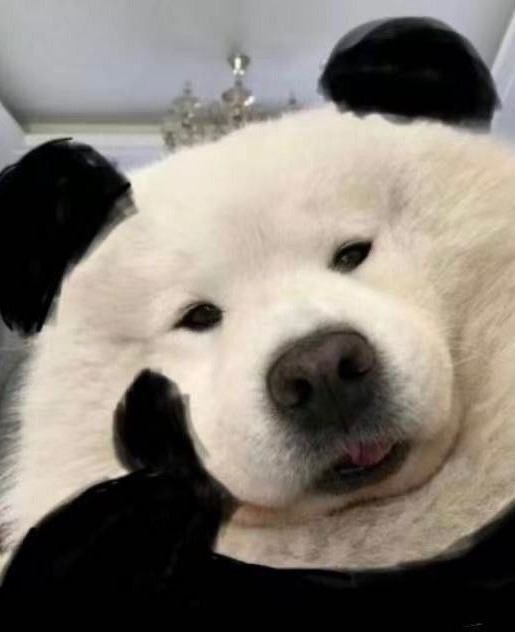 爱在吴哥窟