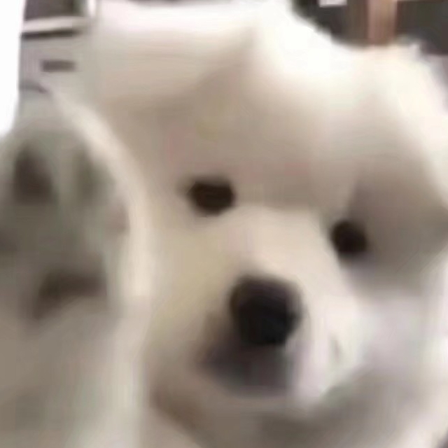 修勾小狗秒发店