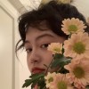 青柠只酸不甜