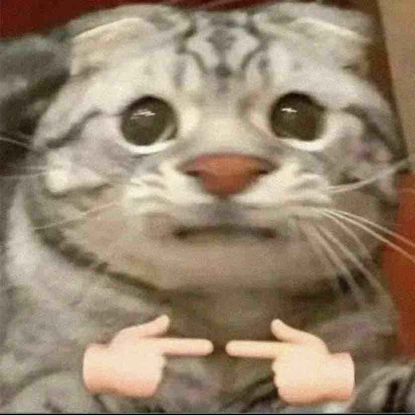 看看我磨