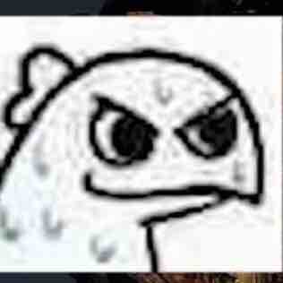 ForceFeng