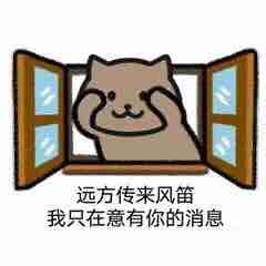 很忙的阿飞哥哥