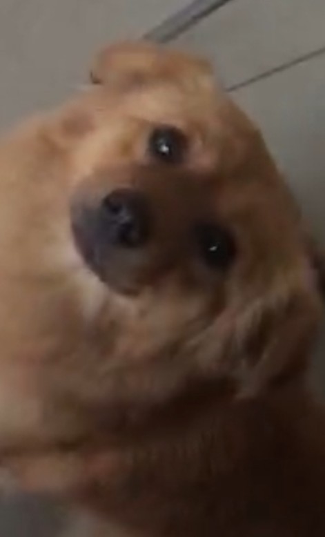 玩家1204171261679575040