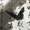 秒发求秒