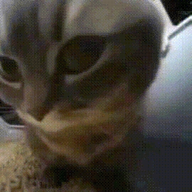 笑死我了