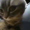 笑死我了