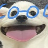 奶龙没有奶