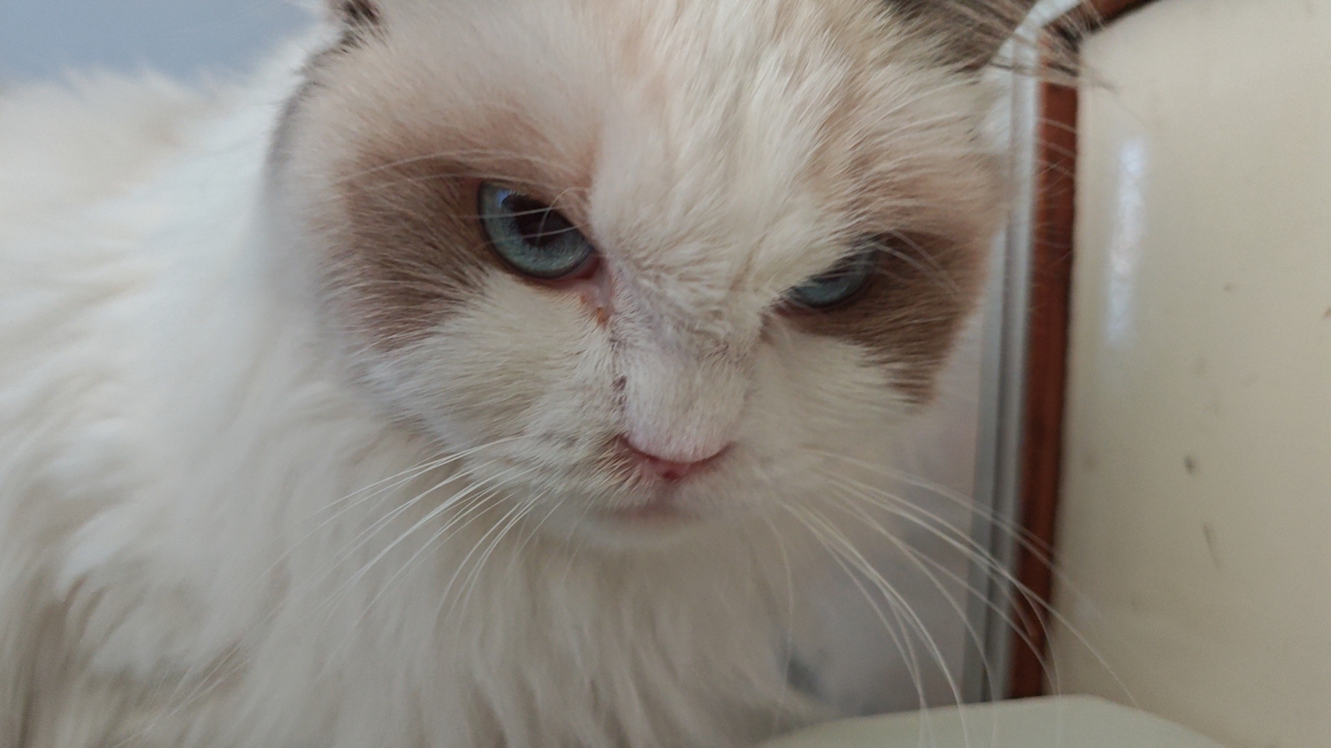 玩家1298159322382901248