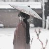 柒忻汐-