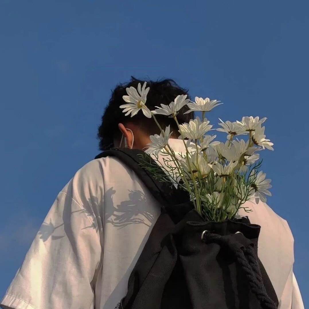 翻斗花园派大宝