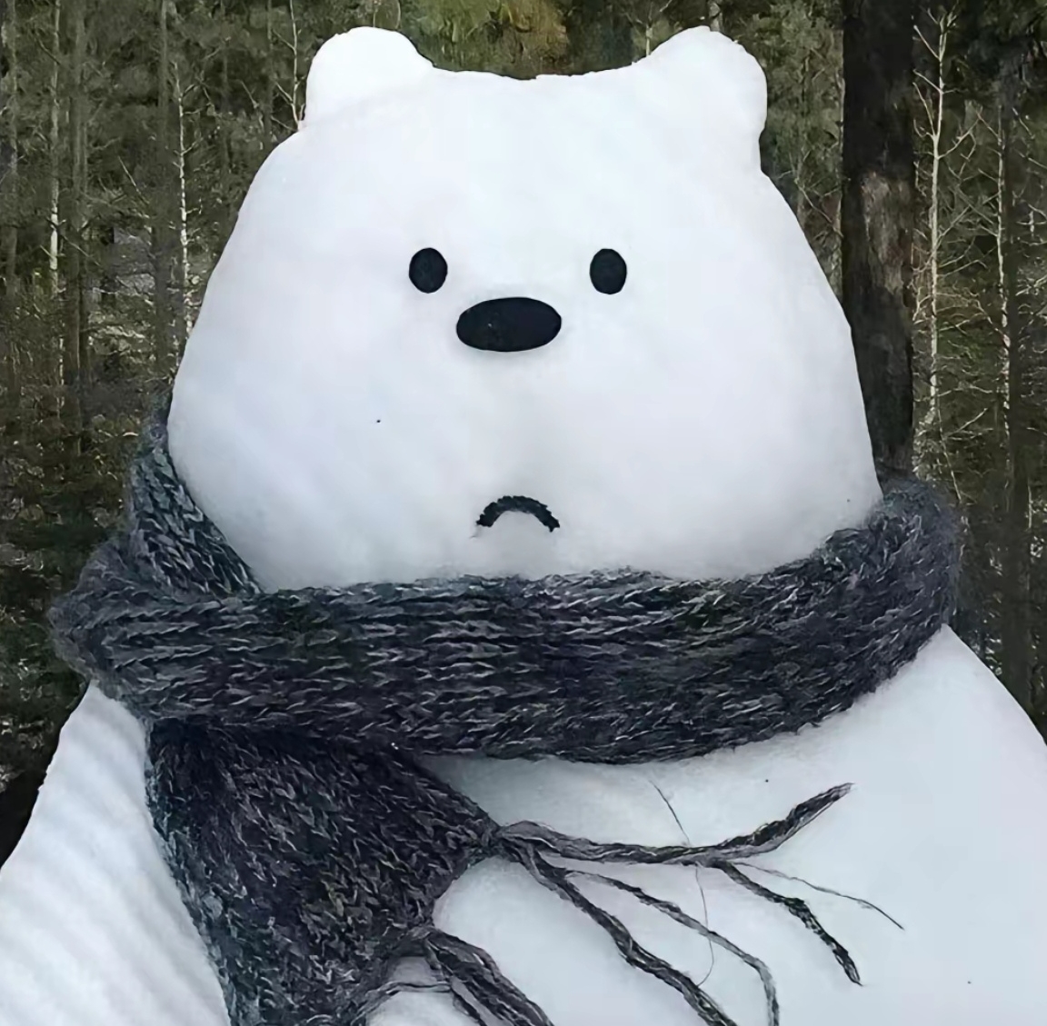 北多芬丿