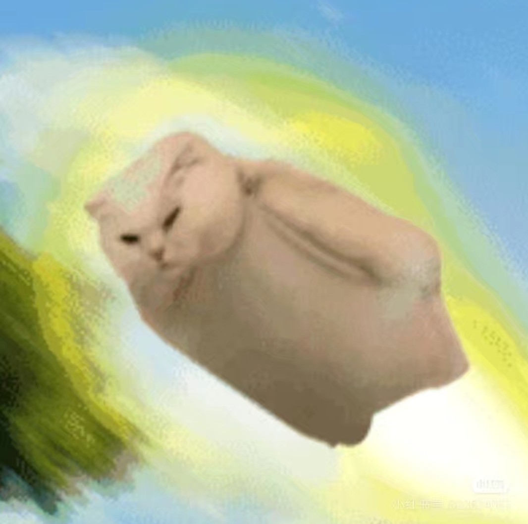 好运小猫