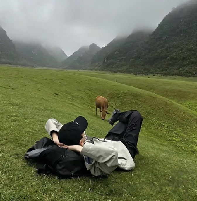 墨盏清欢