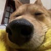 玩家1216693a06b7
