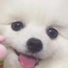 听说改名就会中