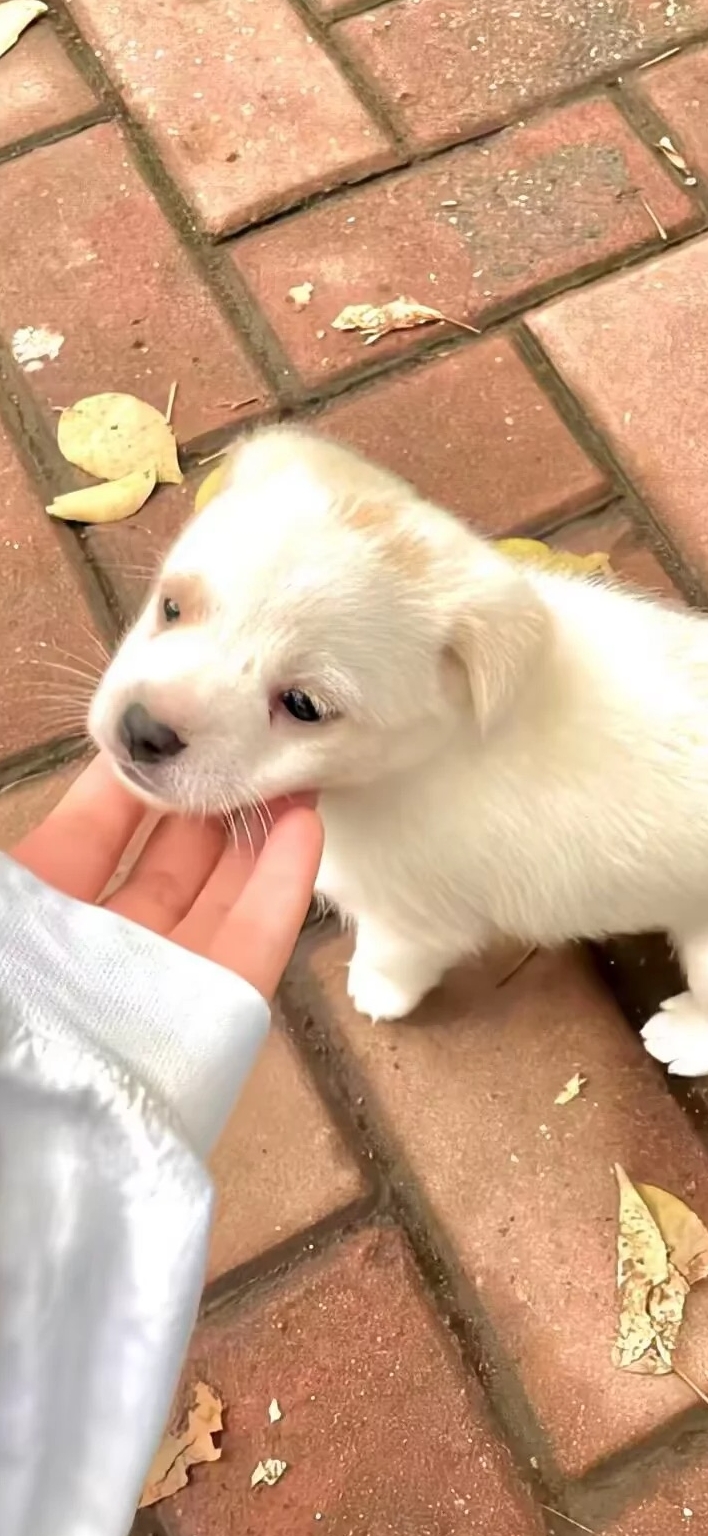 自用不想当韭菜