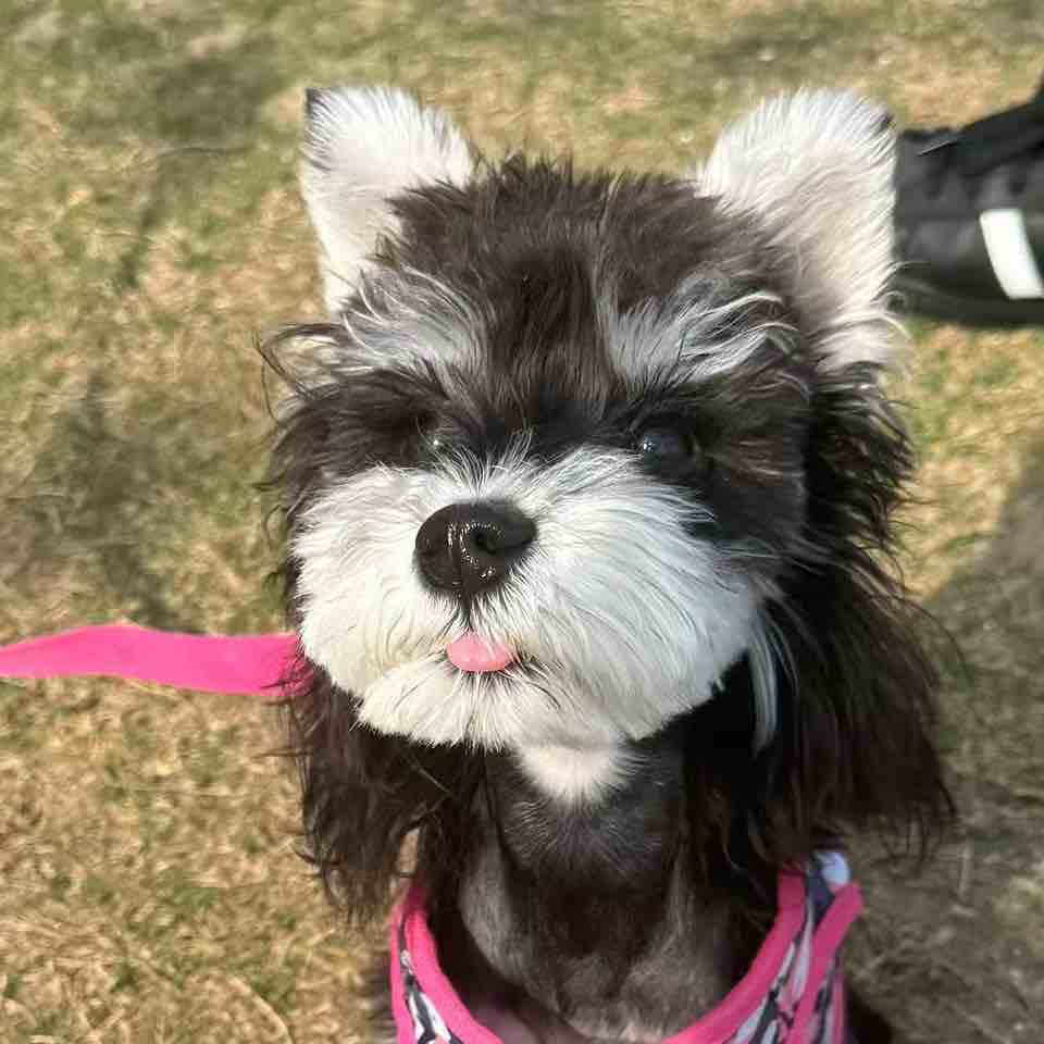 看见就秒发