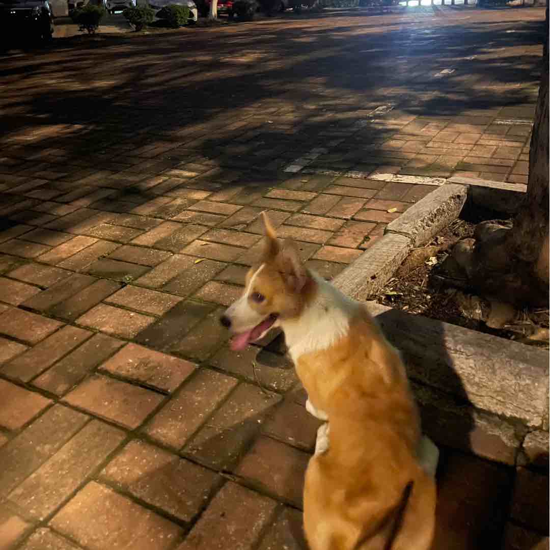 牧青MuqinG_
