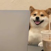 玩家1400763881778409472
