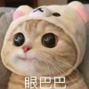 人工发货秒发