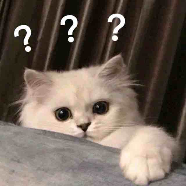 和什么好